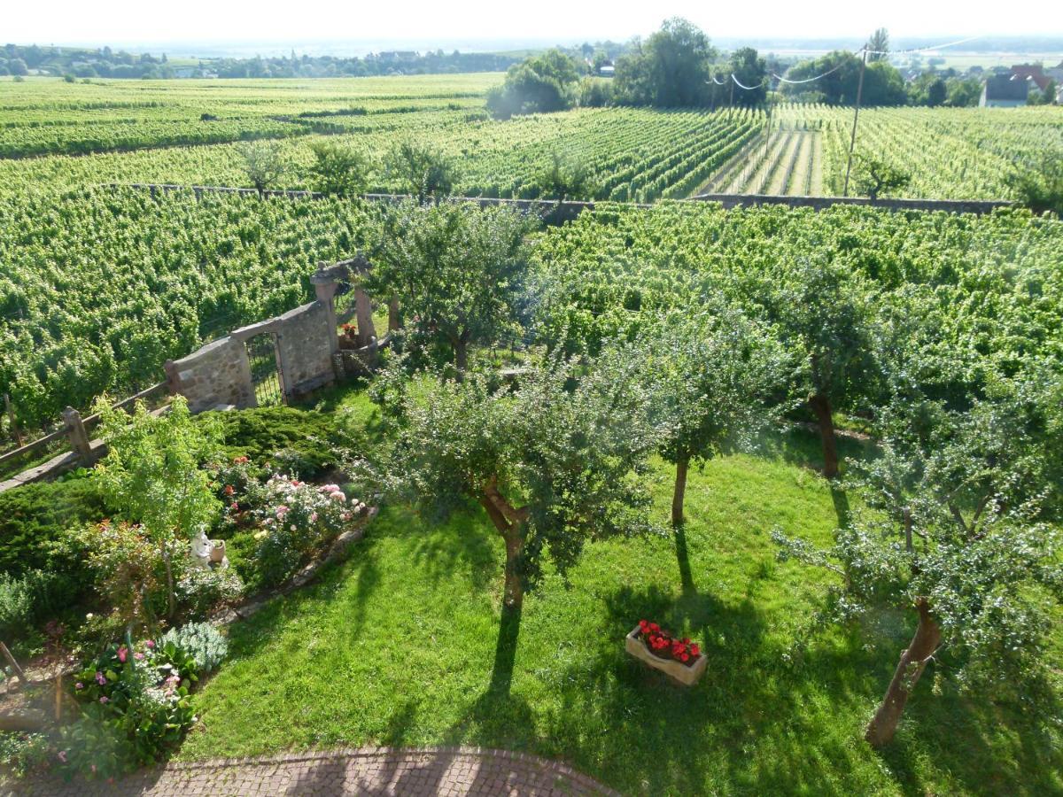 Domaine Du Bouxhof Apartment Mittelwihr Bagian luar foto